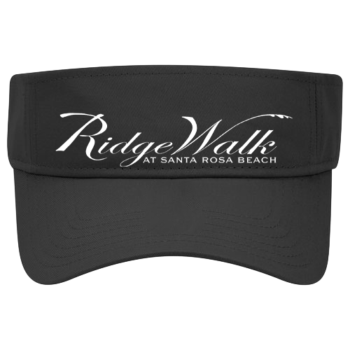 Sun Visor Black