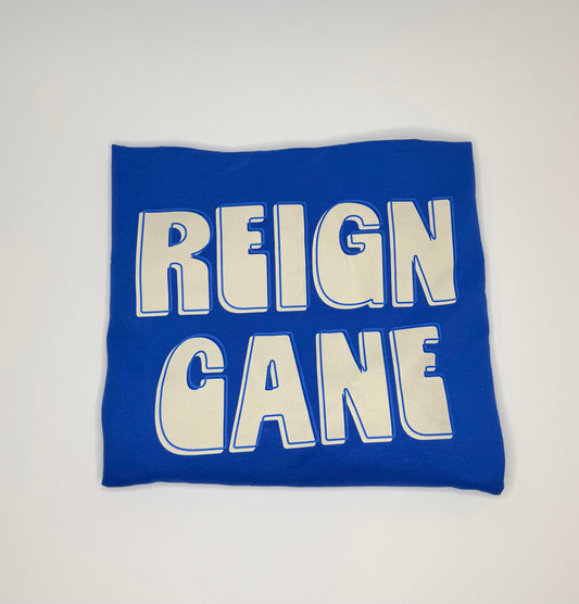 Heavy Blend Fleece Stadium Blanket Reign Cane Blue